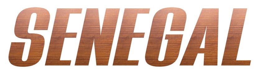 SENEGAL word with brown wooden texture on white background.