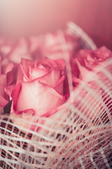 Blur Holiday concept Valentine's Day. Pink background with roses