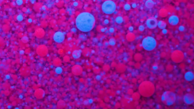 Slow Motion Bright Neon Color Bubbles Oil Beautiful Fluorescent Paint Sparkling Color Moving Multicolor Close up. Acrylic Neon Paint. Fantastic Surface. Abstract Colorful Transformation Gravitation.