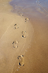 footprints in the sand