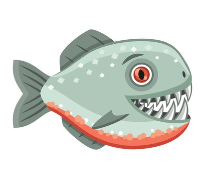 Scary piranha on white background, vector illustration