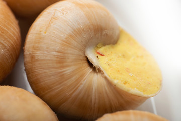 still life of stuffed snail sauce, on a white background