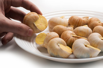 Hand holds snail stuffed with sauce