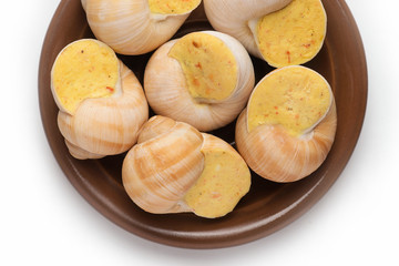 still life of stuffed snail sauce, on a white background