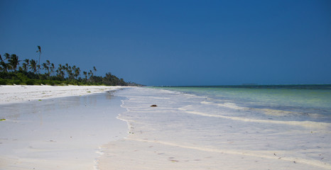 Wild virgin white Sandy Beach in Zanzibar Africa