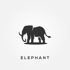 Elephant Animal Silhouette Vector For Banner or Background