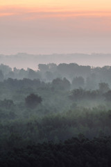 Mystical view from top on forest under haze at early morning. Eerie mist among layers from tree silhouettes in taiga under predawn sky. Morning atmospheric minimalistic landscape of majestic nature.