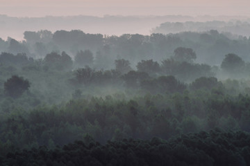 Mystical view from top on forest under haze at early morning. Eerie mist among layers from tree...