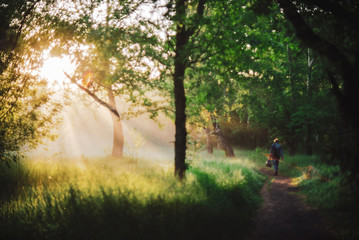 Man walks in park in morning sunlight. Back view on man on sunrise. Sunbeams and lens flare with copy space. Blurry sunny background. Bright sun shines through trees leaves on sunset. Blurred backdrop