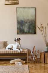 Modern composition of living room with furnitures, mock up paintings, rattan decoration and elegant personal accessories. Beautiful dog lying on the chaise longue. Korean style home decor Template