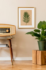 Stylish and retro space of home interior with gold mock up frame, vintage radio, coffee table, plant and elegant accessories  Cozy home decor. Home staging. Beige concept of living room. Template. 