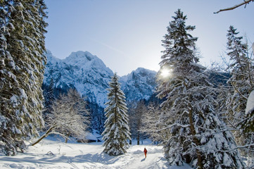 zimowy śnieżny widok na góry i piękne drzewa