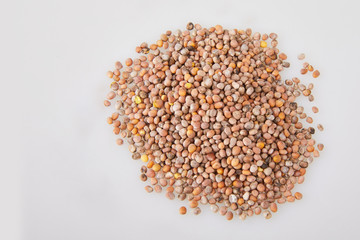 Radish seeds isolated on white. A pile of dry radish seeds. Seeds for sowing