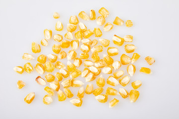 Dry corn seeds isolated on a white background. Maize grain for sowing. Studio shot. Agricultural concept