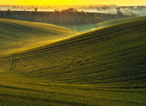 hilly field. picturesque green field. rural landscape © sergnester