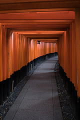 Fototapeta premium torii fushimi inari