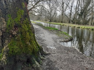 Prilgims way to Winchester