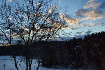 Foto auf Leinwand Winterlandschaft © r_simmer