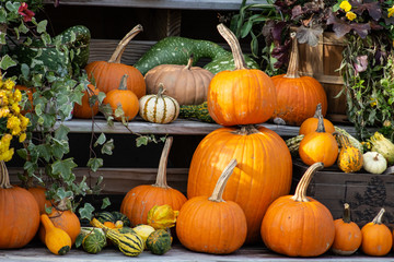 A stack of pumpkins with gourds and flowers at a farm stand