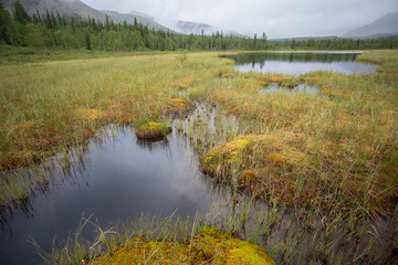 Mountain lake with green grass on the shore. Mountains of the Polar Urals