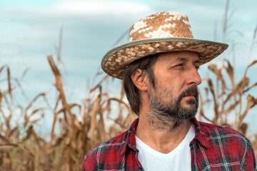 Fototapeta premium Portrait of corn farmer in ripe maize crop field