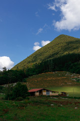 Fototapeta na wymiar view of a valley in the basque country