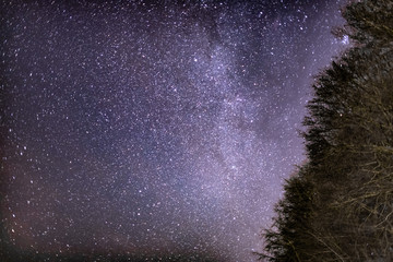 Purple Milkyway