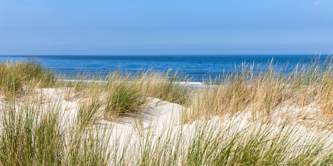 Fototapeta na wymiar Dünenlandschaft an der Nordseeküste