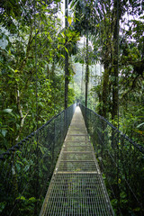 Wide angle shot of the beginning of a hanging bridge in Costa Rica, overlooking the pluvial rainforest. Impressive view of the nature around and below.
