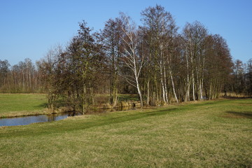 Fototapeta na wymiar Idyllische Landschaft bei Lübben im Spreewald