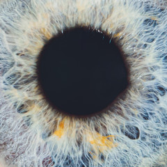 Macro of the eye of a man. Shallow depth of field.