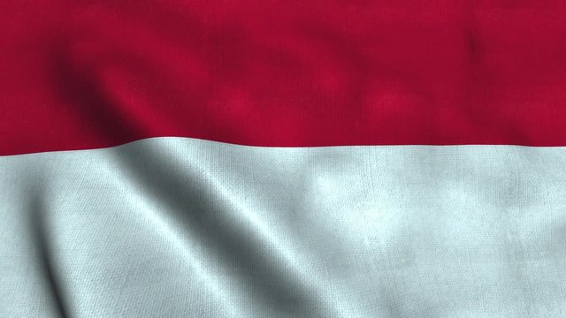 Monaco flag waving in the wind. National flag Principality of Monaco