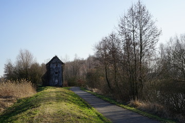 Deich mit Gebäude mit Lübben im Spreewald