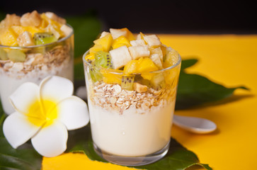 Exotic tropical fruit salad with muesli and yogurt in a glasses on the palm leaf.