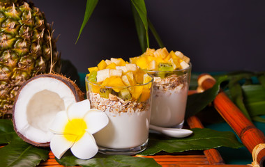 Exotic tropical fruit salad with muesli and yogurt in a glasses on the palm leaf.