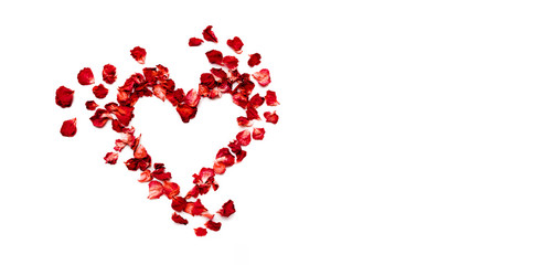 beautiful heart of red rose petals isolated on white with copyspace