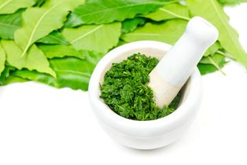 Medicinal Neem leaves in mortar and pestle white ceramic and neem leaf isolated on white background. 