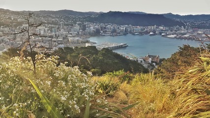 view of the coast