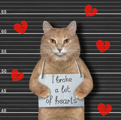The ginger cat was arrested. It has a sign around its neck that says I broke a lot of hearts....