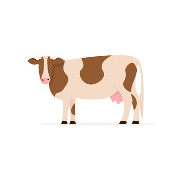 Cow. Flat vector cartoon illustration isolated white background.