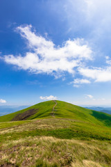 green rolling hills of mountain ridge borzhava. grassy alpine meadows beneath a blue sky with some clouds. beautiful summer landscape of carpathian highlands. Mahura-Zhyde summit in the distance