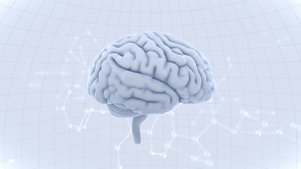 Brain head human mental idea mind 3D illustration background