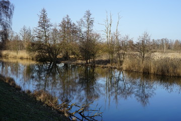 Fototapeta na wymiar Stimmungsvolle Flusslandschaft bei Lübben (Spreewald)