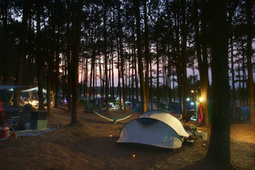 nature camping tent with tree on grass with camp equipment in pine forest national park on twilight sunset to warm white light on lantern yellow lamp for family vacation picnic on holiday relax travel