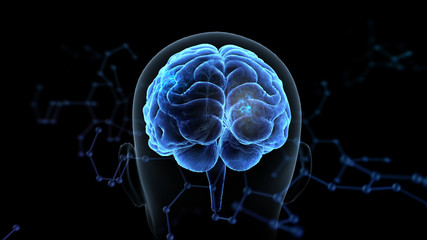 Fototapeta premium Brain head human mental idea mind 3D illustration background