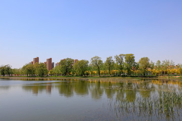 Waterfront City Scenery, China