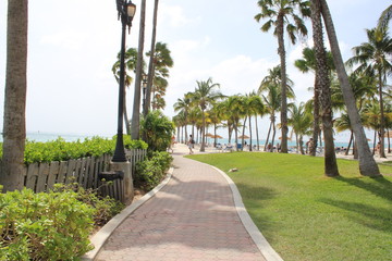 camino tropical