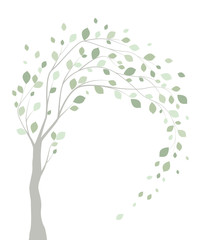 Obraz na płótnie Canvas Vector illustration of a tree with leaves on a white background