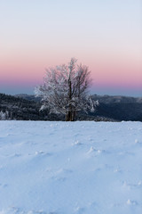 Majestic winter landscape in the wild forest in Transylvania,Europe,Romania.