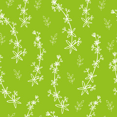 Seamless spring handdraw background with herbs. Line art style